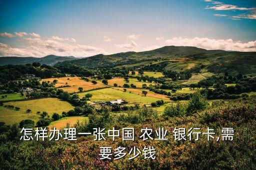 自己怎么申请农业银行卡,如何在手机上申请农业银行卡解冻
