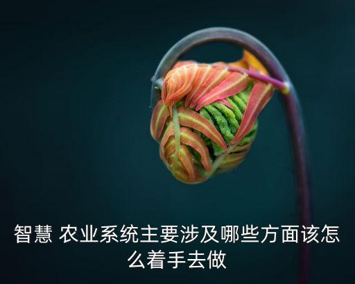 农业物联网怎么找人工客户