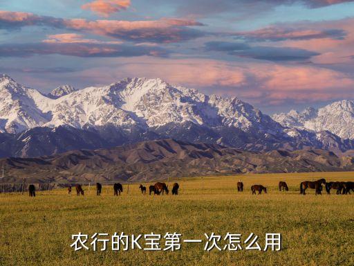 中国农业行k宝怎么用