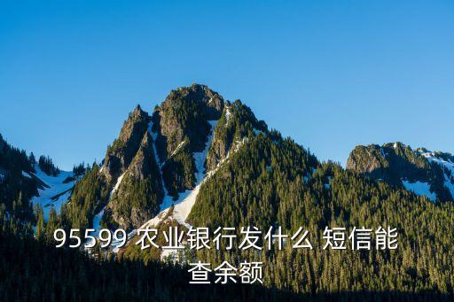 95599 农业银行发什么 短信能查余额