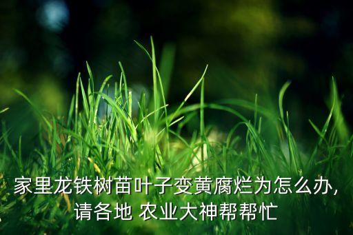 赣州佳穗农业发展怎么样,赣州农业发展有限公司