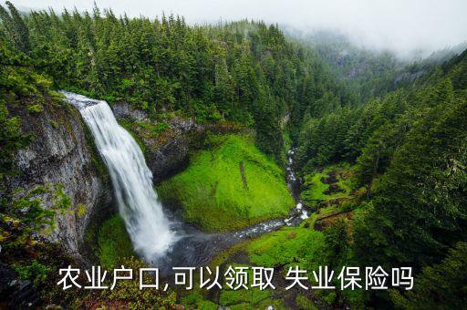  农业户口,可以领取 失业保险吗