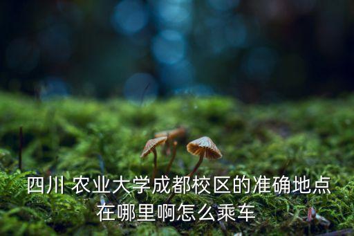  四川 农业大学成都校区的准确地点在哪里啊怎么乘车