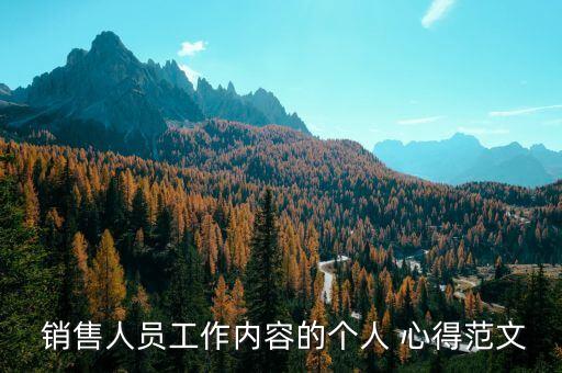  销售人员工作内容的个人 心得范文