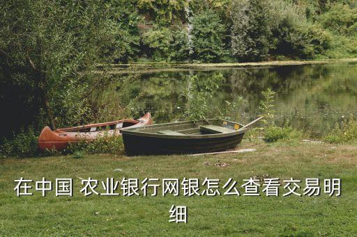 农业银行怎么查结息记录