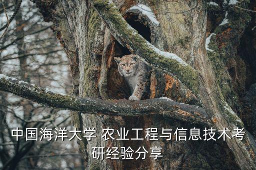 中国海洋大学 农业工程与信息技术考研经验分享