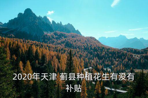 蓟县农业什么为主,西北地区农业以什么为主