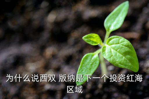 为什么说西双 版纳是下一个投资红海区域