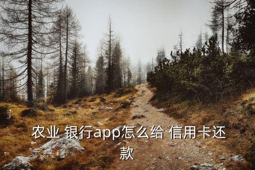 农业掌上银行怎么还信用卡,农业银行掌上银行app怎么下载