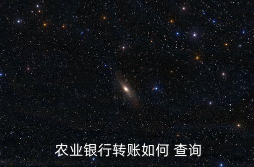  农业银行转账如何 查询