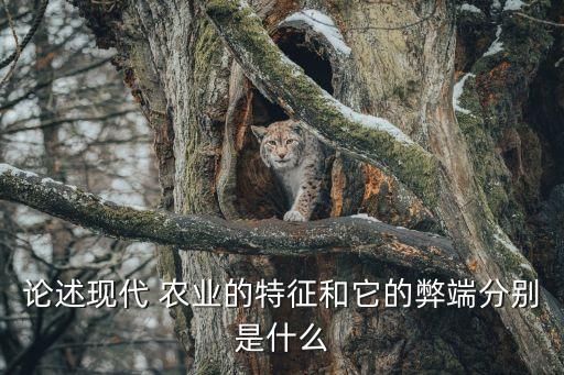 论述现代 农业的特征和它的弊端分别是什么