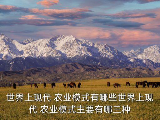 现代农业之路怎么走,建设河南省现代农业之路