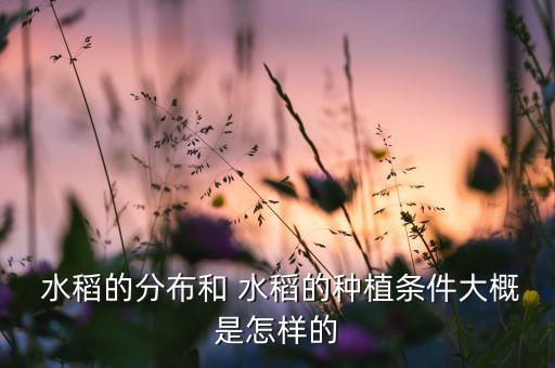 国外农业怎么灌溉水稻,水稻属于灌溉农业吗