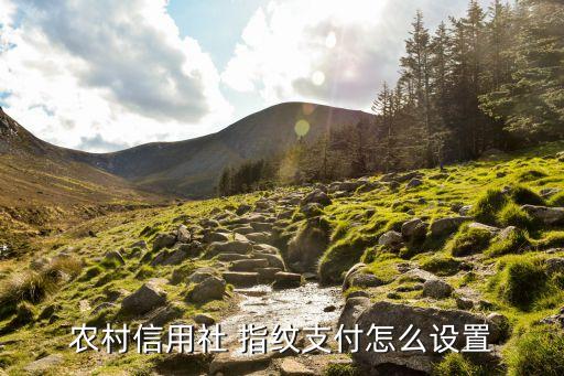 农业银行怎么用不起指纹