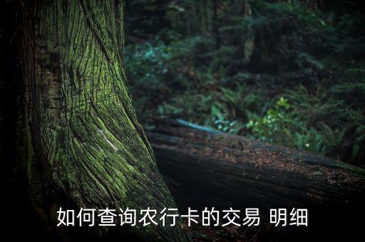 如何查询农行卡的交易 明细