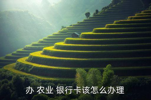 办 农业 银行卡该怎么办理