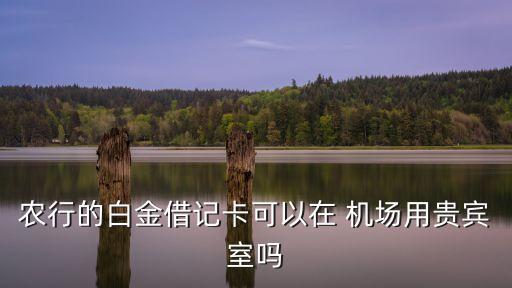 平沙农业银行怎么去机场