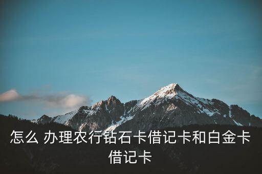 农业银行emv怎么办理