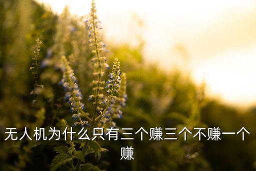 德州飞防农业怎么个干法