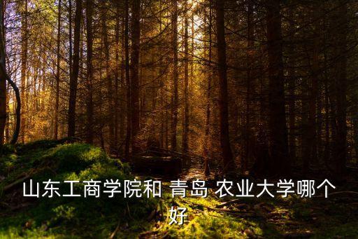 山东工商学院和 青岛 农业大学哪个好