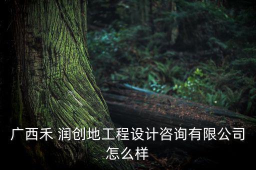 广西禾 润创地工程设计咨询有限公司怎么样