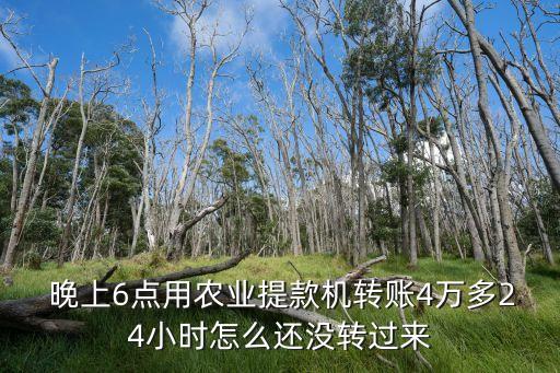  晚上6点用农业提款机转账4万多24小时怎么还没转过来