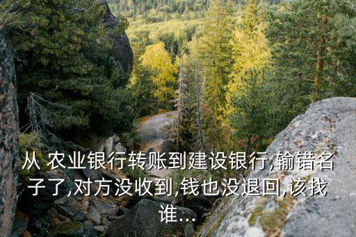 农业银行没回函怎么办