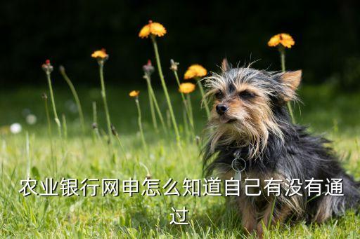  农业银行网申怎么知道自己有没有通过
