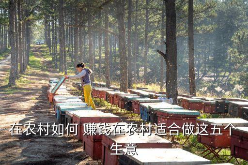 当前做农业怎么样赚钱呢,怎么样做无人直播赚钱的