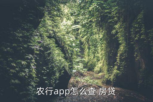 农业银行怎么样查房贷
