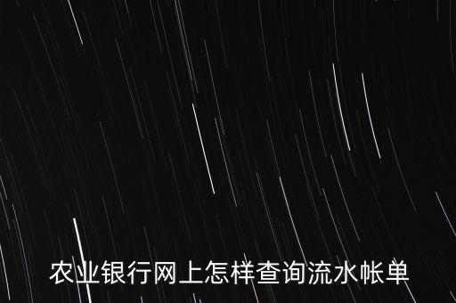 农业公户怎么查明细,农业银行卡怎么查
