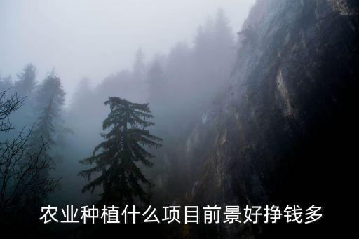  农业种植什么项目前景好挣钱多