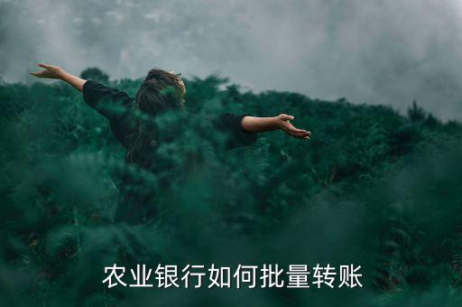 农业汇款怎么操作,农业无人机怎么操作