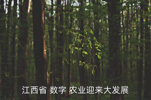 数字农业基地介绍怎么写,2023数字农业创新应用基地