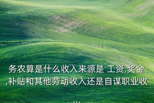 农业类工资怎么样算的