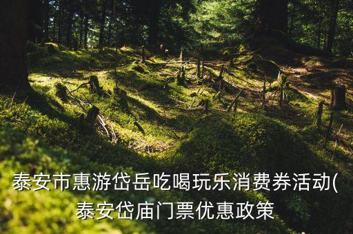 泰安市惠游岱岳吃喝玩乐消费券活动(泰安岱庙门票优惠政策