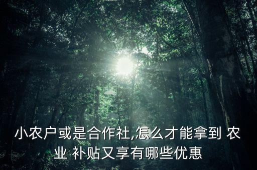 小农户或是合作社,怎么才能拿到 农业 补贴又享有哪些优惠