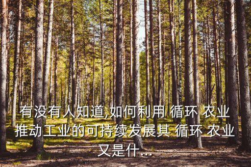有没有人知道,如何利用 循环 农业推动工业的可持续发展其 循环 农业又是什...