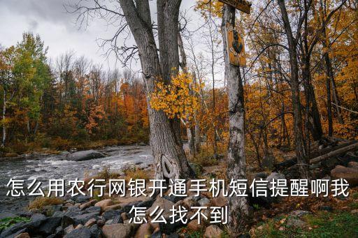 怎么用农行网银开通手机短信提醒啊我怎么找不到