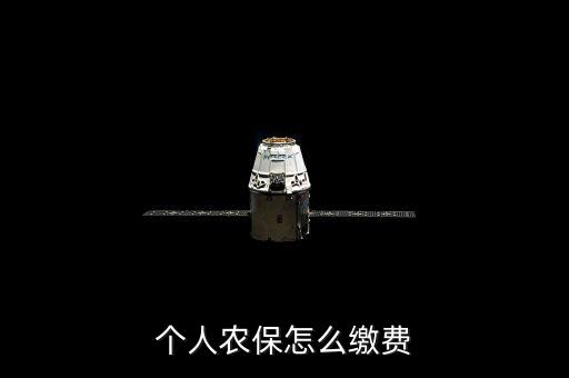 个人农保怎么缴费