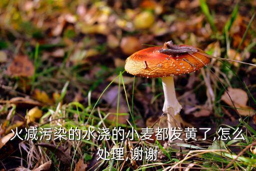 农业种植浇了毒水怎么办