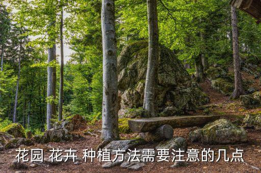 农业园区花卉怎么种植,花卉怎么种植管理