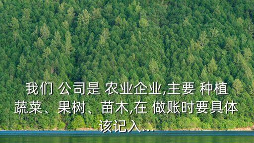 我们 公司是 农业企业,主要 种植蔬菜、果树、苗木,在 做账时要具体该记入...
