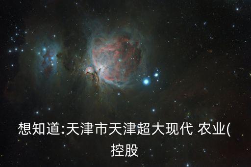 新农业产业是什么公司