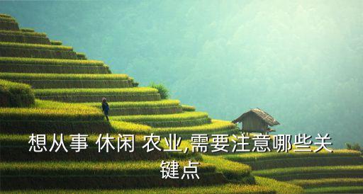 休闲农业没背景怎么拿地
