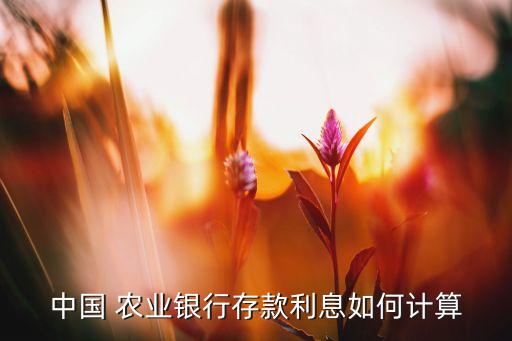 中国 农业银行存款利息如何计算
