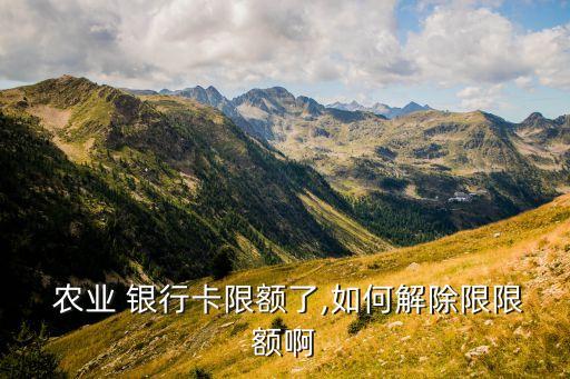 农业银行卡怎么禁止入款