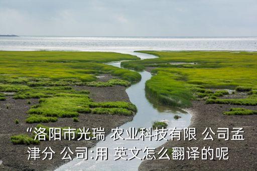 “洛阳市光瑞 农业科技有限 公司孟津分 公司:用 英文怎么翻译的呢