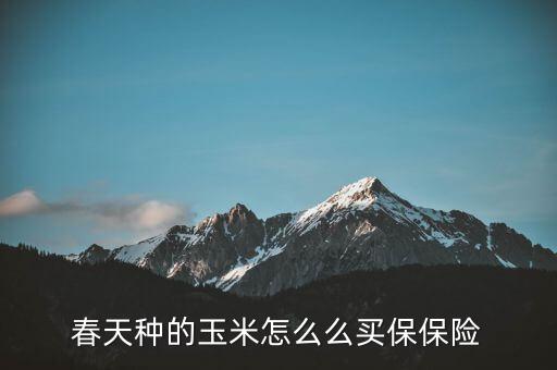 春天种的玉米怎么么买保保险