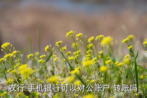 农行 手机银行可以对公账户 转账吗
